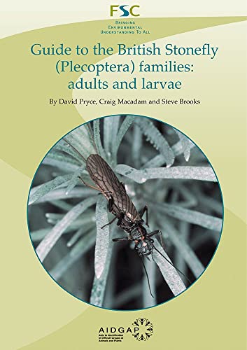 Stock image for Guide to the British Stonefly (Plecoptera) Families for sale by Blackwell's