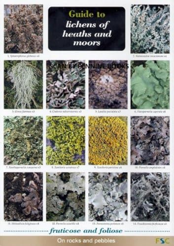 9781851532391: Guide to Lichens of Heaths and Moors