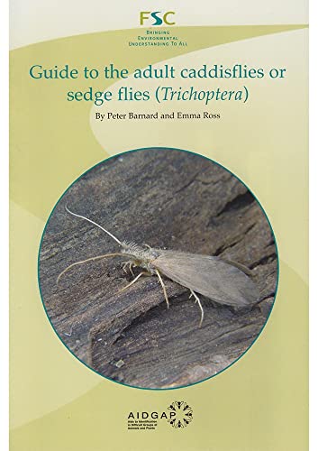 Beispielbild fr GUIDE TO THE ADULT CADDISFLIES OR SEDGE FLIES (TRICHOPTERA). By Peter Barnard & Emma Ross. A Field Studies Council publication. Laminated fold-out chart. zum Verkauf von Coch-y-Bonddu Books Ltd