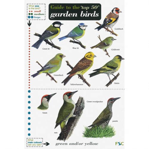 Beispielbild fr Guide to the Top 50 Garden Birds (Field Studies Council Occasional Publications): 52 (Field Studies Council Occasional Publications S.) zum Verkauf von WorldofBooks