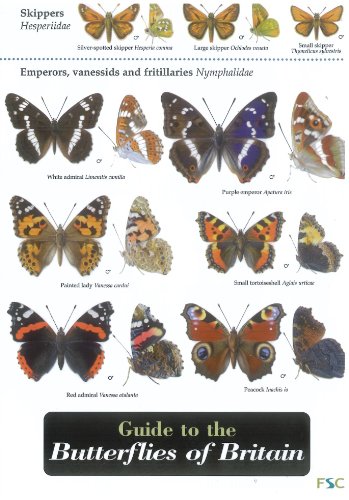 9781851538485: Guide to the Butterflies of Britain: No. 48 (Field Studies Council Occasional Publications S.)