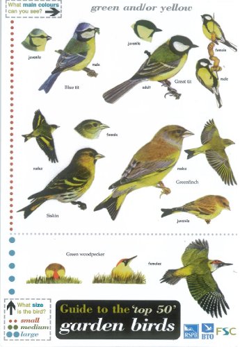 Stock image for Wildlife World Birds Field Guide for sale by WorldofBooks