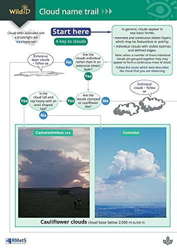 Beispielbild fr Cloud Name Trail: A Key to Clouds (WildID) zum Verkauf von WorldofBooks