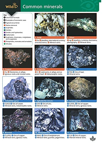 Stock image for A Guide to Common Minerals for sale by Blackwell's