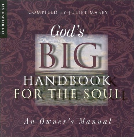 Imagen de archivo de God's Big Handbook for the Soul: An Owner's Manual a la venta por More Than Words