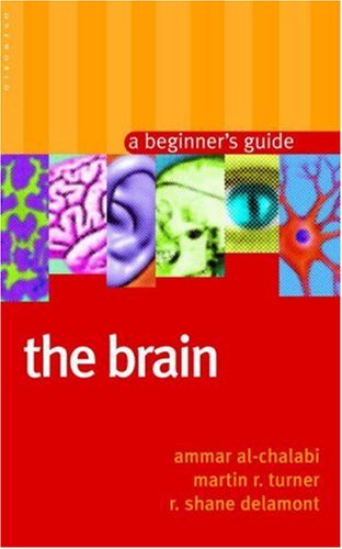 9781851683734: The Brain: A Beginner's Guide (Beginner's Guides)