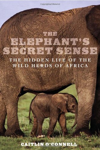 Stock image for The Elephant's Secret Sense: The Hidden Life of the Wild Herds of Africa for sale by WorldofBooks