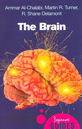 Imagen de archivo de The Brain: A Beginner's Guide (Beginner's Guides) a la venta por WorldofBooks