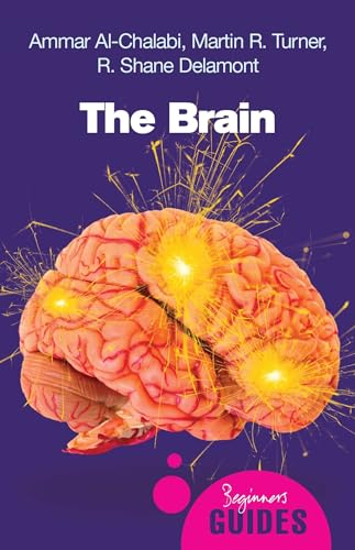 Stock image for The Brain: A Beginner's Guide (Beginner's Guides) for sale by WorldofBooks