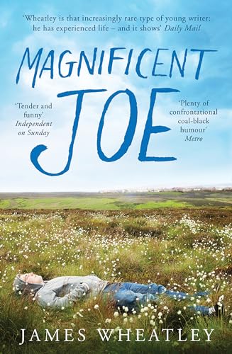 9781851689668: Magnificent Joe