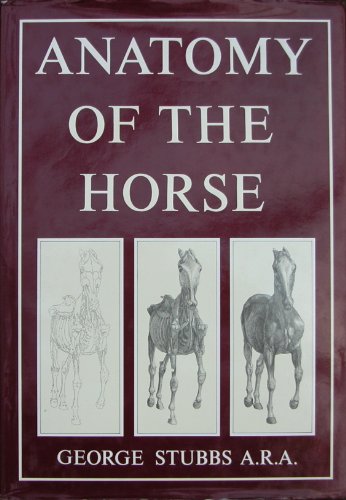Stock image for Anatomy of the Horse for sale by HPB-Red