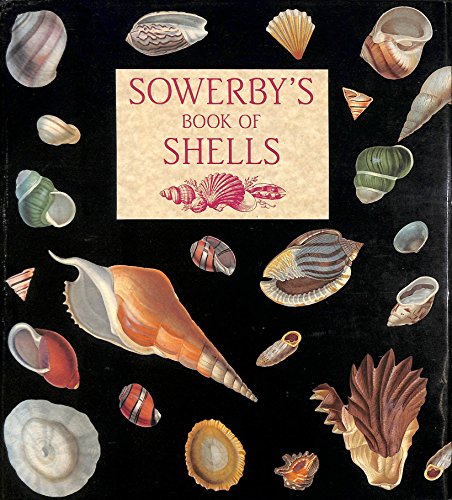 Stock image for Sowerby's Book of Shells for sale by WorldofBooks