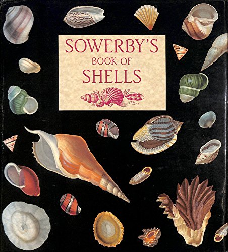 9781851704408: Sowerby's Book of Shells