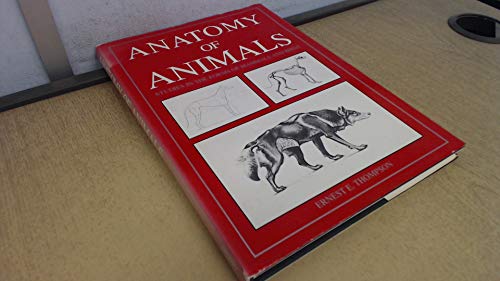 Stock image for Anatomy of Animals: Studies in the Forms of Mammals and Birds for sale by ThriftBooks-Dallas