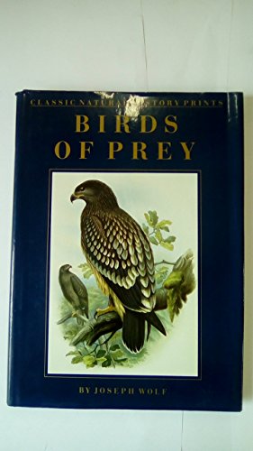 Classic Natural History Prints: Birds of Prey.