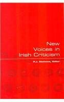 9781851825455: New Voices in Irish Criticism