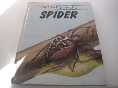 The Life Cycle Of A Spider (9781852101244) by [???]