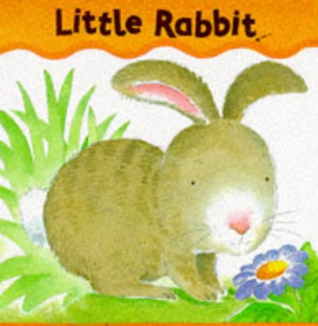 9781852139667: Little Rabbit (Baby Animal Board Books)