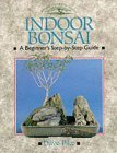 Beispielbild fr Indoor Bonsai : A Beginner's Step-By-Step Guide zum Verkauf von Better World Books