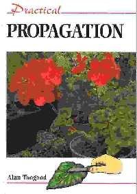 Stock image for Practical Propagation (Practical Gardening) for sale by Reuseabook