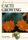Stock image for Practical Cacti Growing (Practical Gardening) for sale by Reuseabook