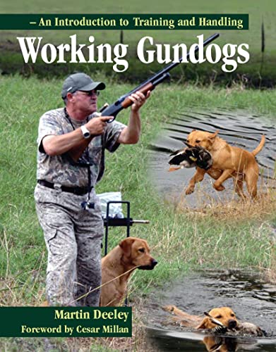 Stock image for Working Gundogs: An Introduction to Training and Handling for sale by SecondSale