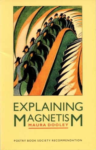 Explaining Magnetism (9781852241377) by Dooley, Maura