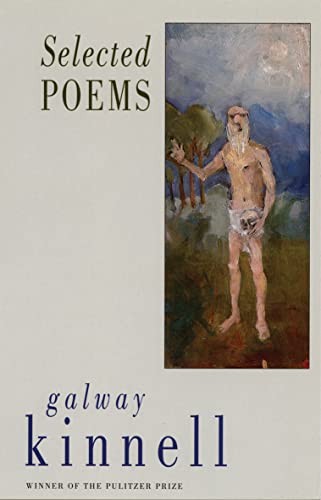 9781852245412: Selected Poems