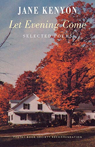 Stock image for Let Evening Come (Bloodaxe World Poets) for sale by Lakeside Books