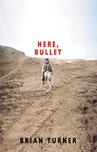 Imagen de archivo de Here, Bullet a la venta por WorldofBooks