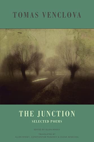 9781852248109: The Junction: Selected Poems