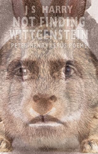 Stock image for Not Finding Wittgenstein for sale by Dufour Editions Inc.