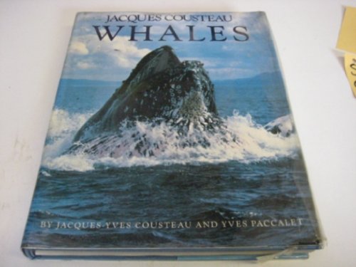 Stock image for Whales for sale by WorldofBooks