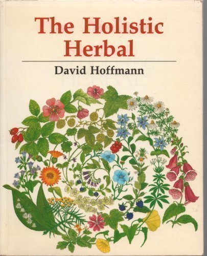 Stock image for The Holistic Herbal for sale by HPB Inc.