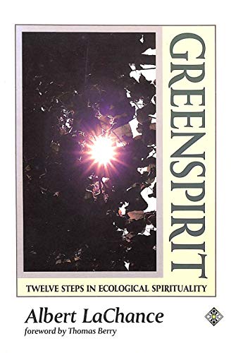 Stock image for Greenspirit: Twelve Steps in Green Spirituality for sale by WorldofBooks