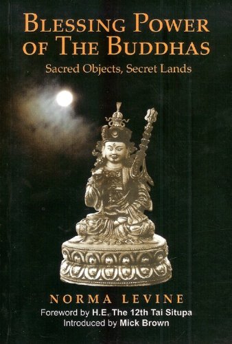 Stock image for Blessing Power of the Buddhas: Sacred Objects, Secret Lands for sale by MusicMagpie