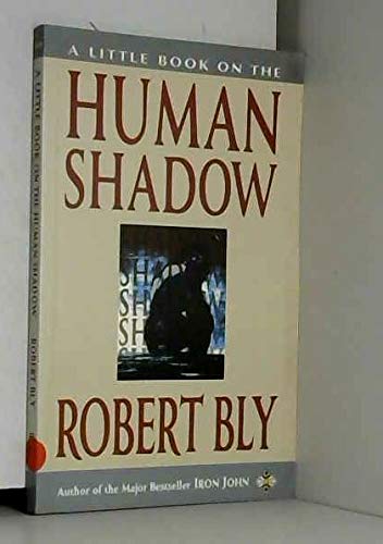 9781852303150: A Little Book on the Human Shadow (Little Books)