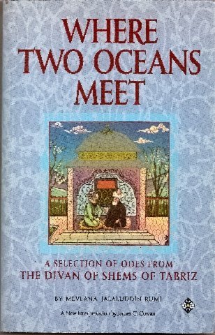 Where Two Oceans Meet: A Selection of Odes from the Divan of Shems of Tabriz (9781852303303) by Rumi, Mevlana Jalaluddin