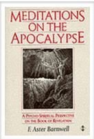 Stock image for Meditations on the Apocalypse : A Psycho-Spiritual Perspective on the Book of Revelation for sale by Better World Books