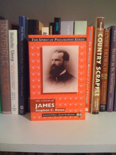 Stock image for The Vision of James (Spirit of Philosophy S.) for sale by AwesomeBooks