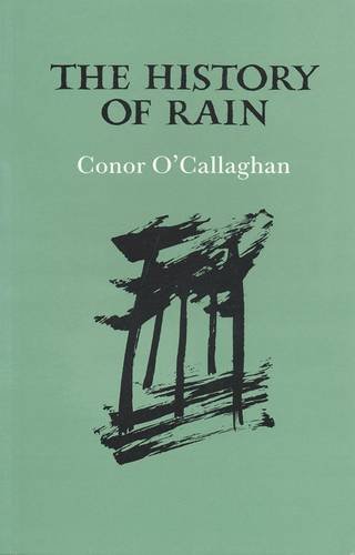 Imagen de archivo de The History of Rain a la venta por WorldofBooks