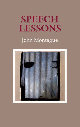 Speech Lessons (9781852355173) by Montague, John
