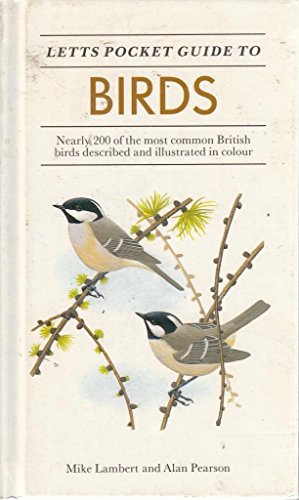 9781852381011: Birds (Letts Pocket Guides)