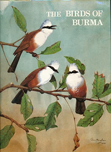 Imagen de archivo de The Birds of Burma a la venta por Jay W. Nelson, Bookseller, IOBA