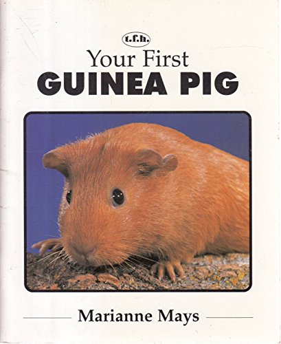 Stock image for YOUR FIRST GUINEA PIG. for sale by Goldstone Books