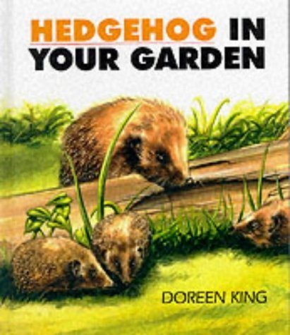 Imagen de archivo de Hedgehog in Your Garden a la venta por MusicMagpie