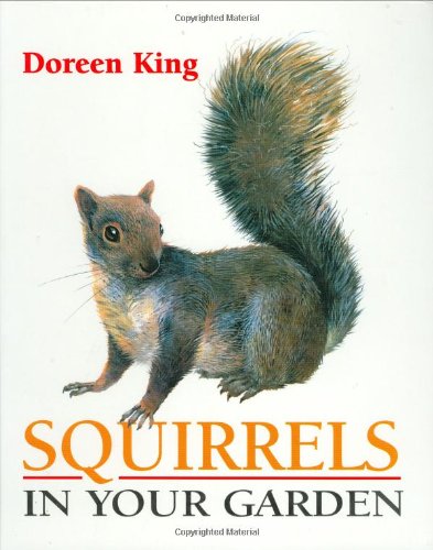 Stock image for Squirrels in Your Garden for sale by WorldofBooks