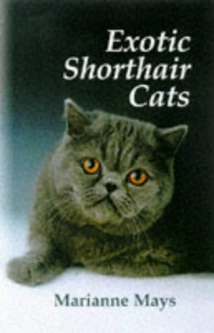 Stock image for Exotic Shorthair Cats for sale by HPB Inc.