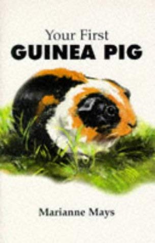 Stock image for Your First Guinea Pig for sale by WorldofBooks