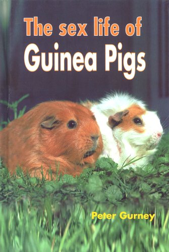Beispielbild fr The Sex Life of Guinea Pigs zum Verkauf von WorldofBooks